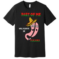 Gastric Surgery Tijuana Premium T-Shirt