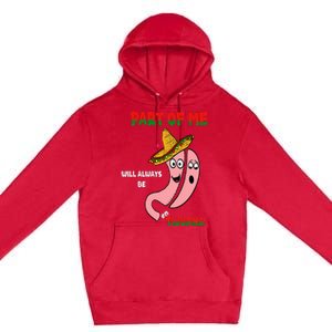 Gastric Surgery Tijuana Premium Pullover Hoodie