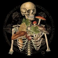Goblincore Skeleton With Mushrooms Foraging Mycologist Fungi Backpack