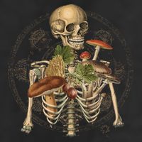 Goblincore Skeleton With Mushrooms Foraging Mycologist Fungi Tumbler