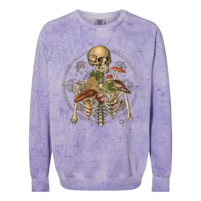 Goblincore Skeleton With Mushrooms Foraging Mycologist Fungi Colorblast Crewneck Sweatshirt