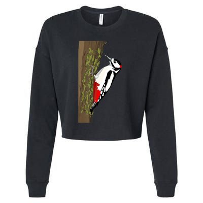 Great Spotted Woodpecker On Moss Covered Ree Birds Cropped Pullover Crew