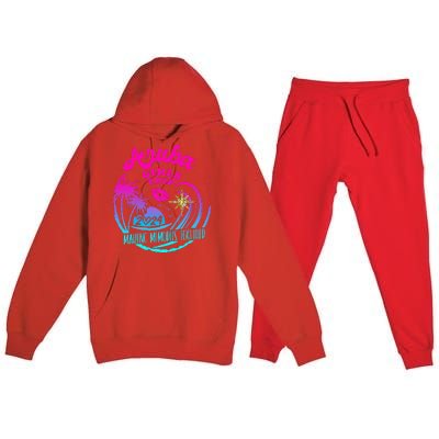 Girl Trip Aruba 2024 Beach Weekend Birthday Squad Premium Hooded Sweatsuit Set