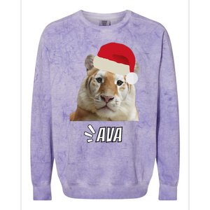 Golden Tiger Ava Chiang Mai Xmas Hat Wildlife Beauty Funny Colorblast Crewneck Sweatshirt