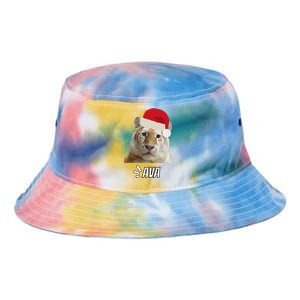 Golden Tiger Ava Chiang Mai Xmas Hat Wildlife Beauty Funny Tie Dye Newport Bucket Hat