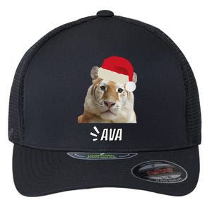 Golden Tiger Ava Chiang Mai Xmas Hat Wildlife Beauty Funny Flexfit Unipanel Trucker Cap