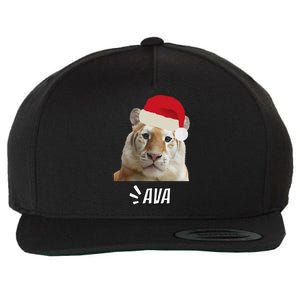 Golden Tiger Ava Chiang Mai Xmas Hat Wildlife Beauty Funny Wool Snapback Cap