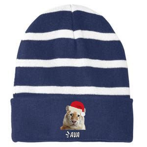 Golden Tiger Ava Chiang Mai Xmas Hat Wildlife Beauty Funny Striped Beanie with Solid Band