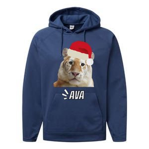 Golden Tiger Ava Chiang Mai Xmas Hat Wildlife Beauty Funny Performance Fleece Hoodie