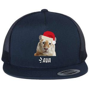 Golden Tiger Ava Chiang Mai Xmas Hat Wildlife Beauty Funny Flat Bill Trucker Hat