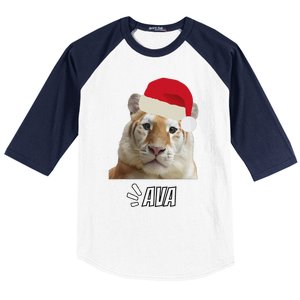 Golden Tiger Ava Chiang Mai Xmas Hat Wildlife Beauty Funny Baseball Sleeve Shirt