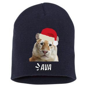 Golden Tiger Ava Chiang Mai Xmas Hat Wildlife Beauty Funny Short Acrylic Beanie