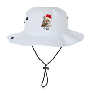 Golden Tiger Ava Chiang Mai Xmas Hat Wildlife Beauty Funny Legacy Cool Fit Booney Bucket Hat