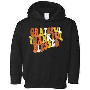 Grateful Thankful Blessed Retro Thanksgiving Toddler Hoodie