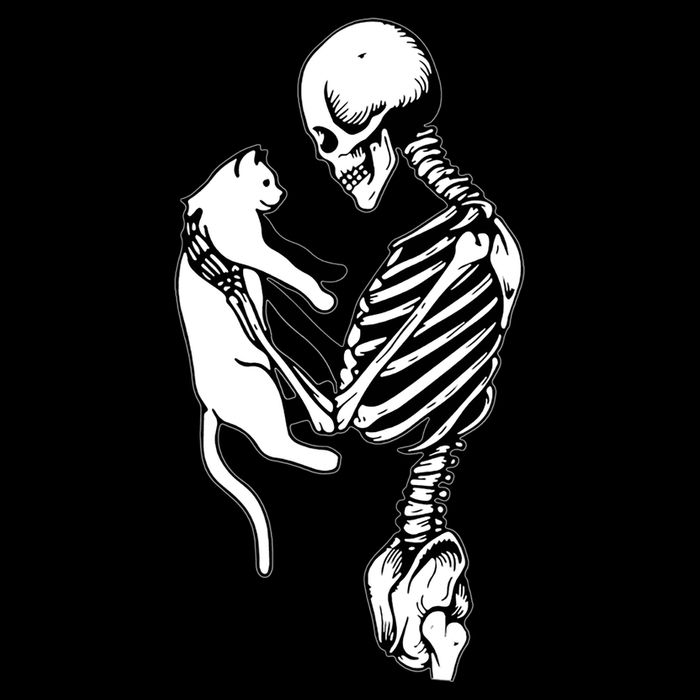 Grab This Cute Skeleton Holding Cat Gift For Your Cat Gift Cooling Performance Crew T-Shirt