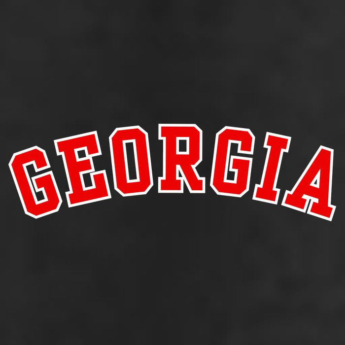 Georgia Throwback Design Adult Drive Performance Visor