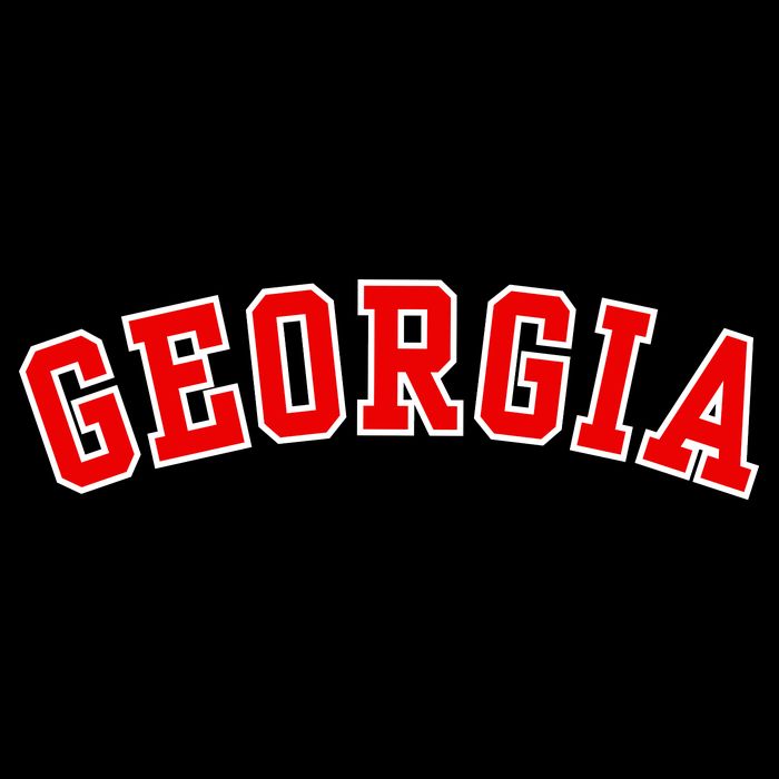 Georgia Throwback Design Bag