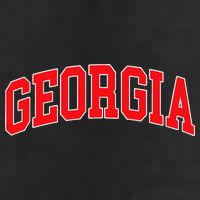 Georgia Throwback Design Classic 11oz C Handle Ceramic Mug