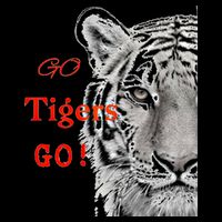 Go Tigers Go Sports Football Baseball Basketball Tigers Great Gift Flat Bill Trucker Hat