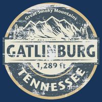 Gatlinburg Tennessee 16 in Basic Backpack