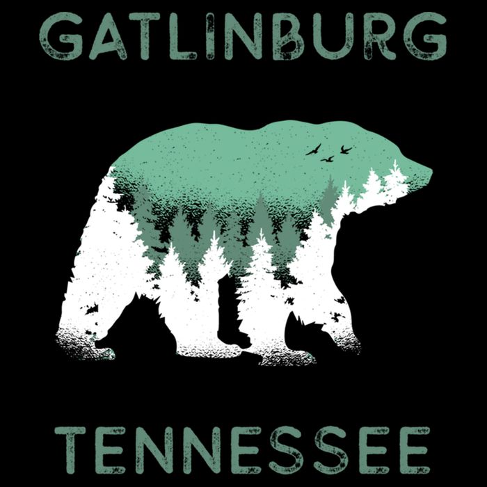 Gatlinburg Tennessee Great Smoky Mountains Bear Gift Cooling Performance Crew T-Shirt