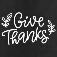 Give Thanks Holiday Thanksgiving Adult Drive Performance Visor