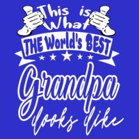 Grandpa This Is World's Best Grandpa Looks Like Cool Gift 16 in Basic Backpack