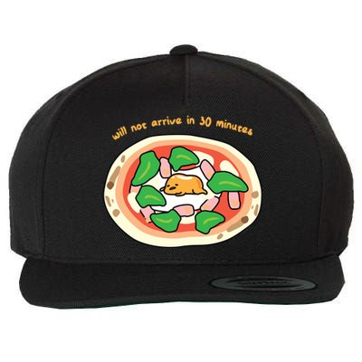 Gudetama The Lazy Egg Pizza Cool Gift Wool Snapback Cap