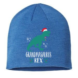 Grandmasaurus Trex Matching Family Christmas Dino Outfit Gift Sustainable Beanie