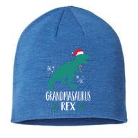 Grandmasaurus Trex Matching Family Christmas Dino Outfit Gift Sustainable Beanie