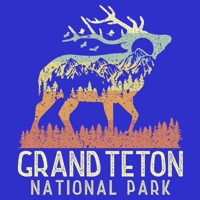 Grand Teton National Park Retro Mountain Vintage Elk Gift Womens T-Shirt