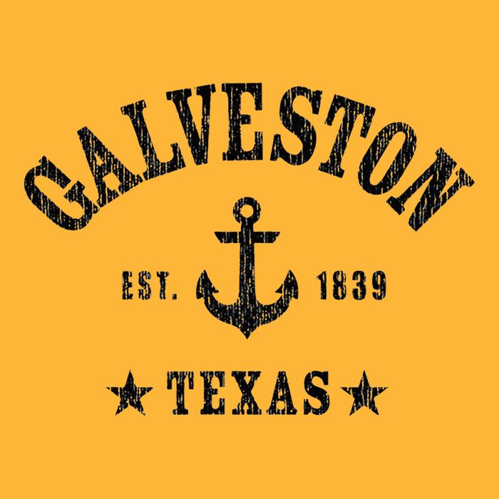 Galveston Tx Nautical Design W. Anchor & Details Est. 1839 Pom Pom 12in Knit Beanie
