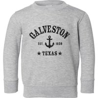 Galveston Tx Nautical Design W. Anchor & Details Est. 1839 Toddler Sweatshirt