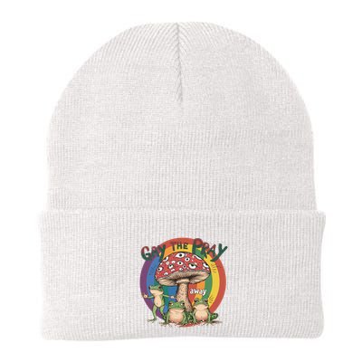 Gay The Pray Away Lgbt Frog Beanie