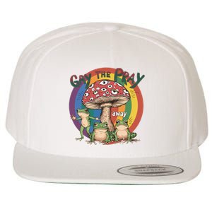 Gay The Pray Away Lgbt Frog Wool Snapback Cap