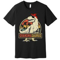 Grandmasaurus T Rex Dinosaur Grandma Saurus Family Matching Premium T-Shirt