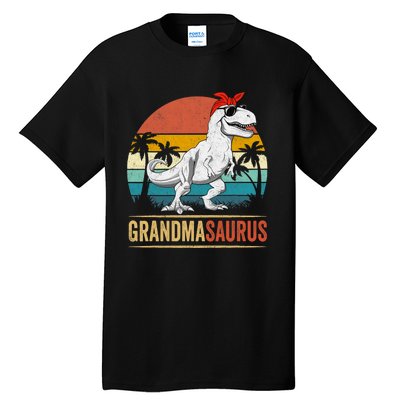 Grandmasaurus T Rex Dinosaur Grandma Saurus Family Matching Tall T-Shirt