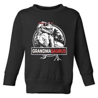 Grandmasaurus T Rex Dinosaur Grandma Saurus MotherS Family Long Sleeve Toddler Sweatshirt