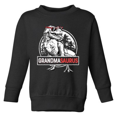 Grandmasaurus T Rex Dinosaur Grandma Saurus MotherS Family Long Sleeve Toddler Sweatshirt