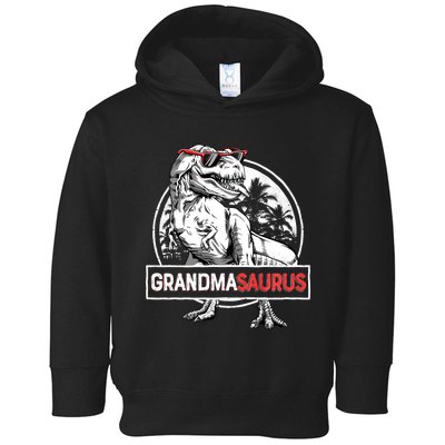 Grandmasaurus T Rex Dinosaur Grandma Saurus MotherS Family Long Sleeve Toddler Hoodie