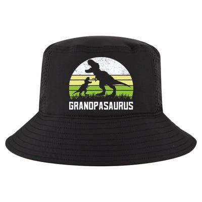 Grandpasaurus T Rex Dinosaur Grandpa Saurus Family Matching Cool Comfort Performance Bucket Hat