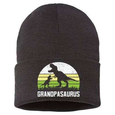 Grandpasaurus T Rex Dinosaur Grandpa Saurus Family Matching Sustainable Knit Beanie