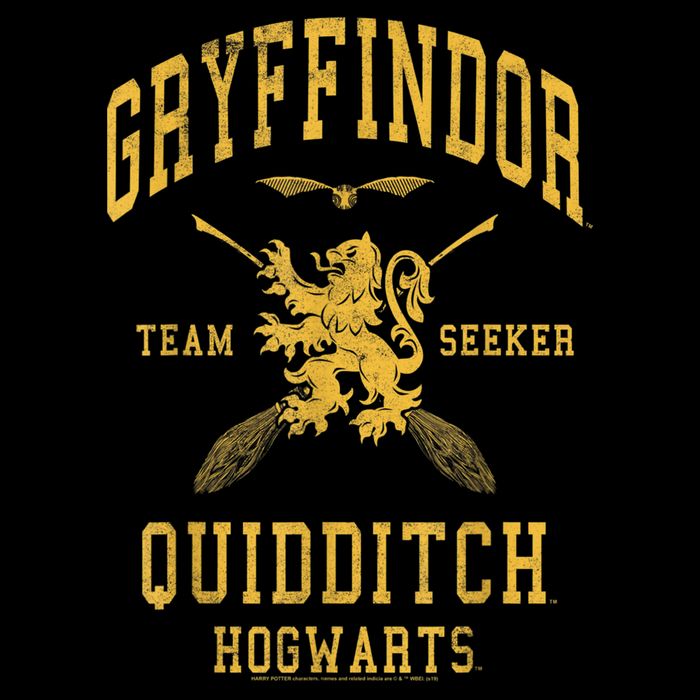 Gryffindor Team Seeker Hogwarts Quidditch Wool Snapback Cap
