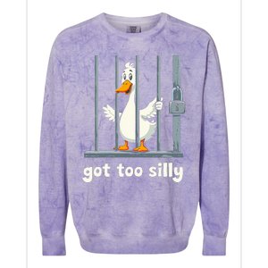 Got Too Silly Goose Colorblast Crewneck Sweatshirt