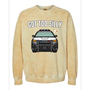 Got Too Silly Goose Police Funny Birthday Gifts Goose Lover Colorblast Crewneck Sweatshirt