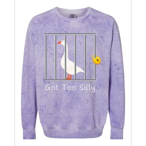 Got Too Silly Women Silly Goose Colorblast Crewneck Sweatshirt