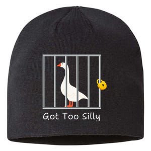 Got Too Silly Women Silly Goose Sustainable Beanie