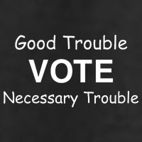 Good Trouble Vote Necessary Trouble Premium Pullover Hoodie