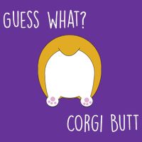 Guess What Corgi Butt Toddler T-Shirt
