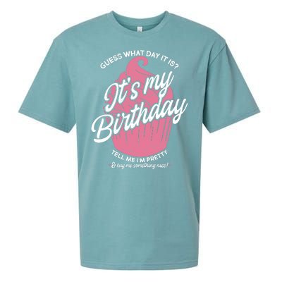 Guess What Day It Is? It's My Birthday Tell Me I'm Pretty Sueded Cloud Jersey T-Shirt